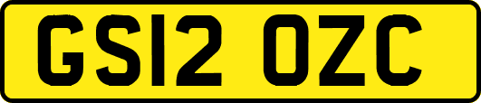 GS12OZC