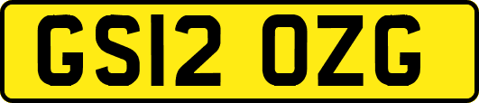 GS12OZG