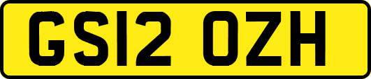 GS12OZH