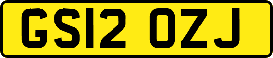 GS12OZJ