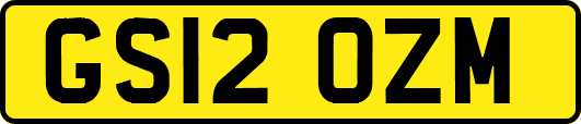 GS12OZM