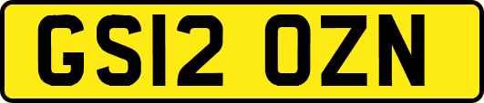 GS12OZN