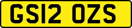 GS12OZS