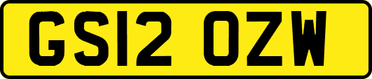 GS12OZW