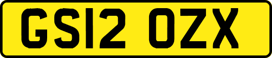 GS12OZX