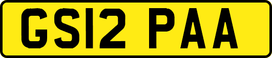 GS12PAA