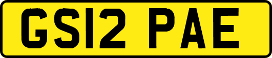 GS12PAE