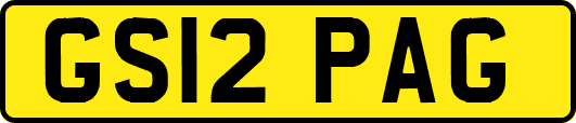 GS12PAG