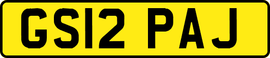 GS12PAJ