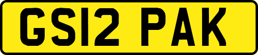 GS12PAK
