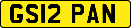 GS12PAN