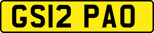 GS12PAO