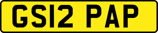 GS12PAP