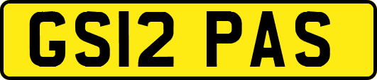 GS12PAS