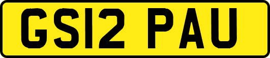 GS12PAU