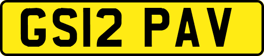 GS12PAV
