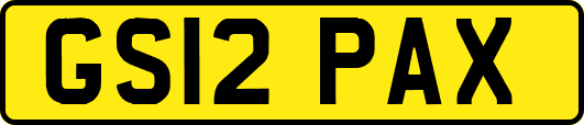 GS12PAX