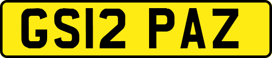 GS12PAZ
