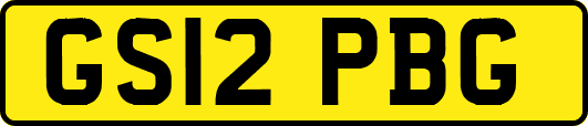 GS12PBG