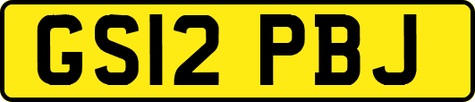 GS12PBJ