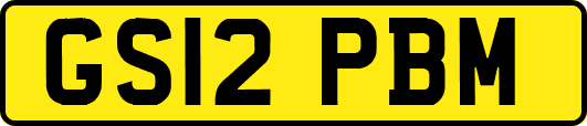 GS12PBM