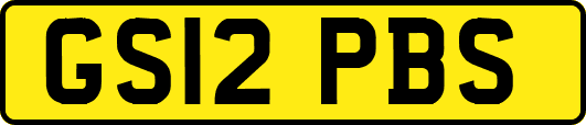 GS12PBS