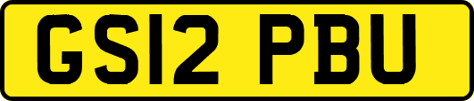 GS12PBU