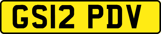 GS12PDV