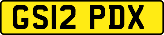 GS12PDX