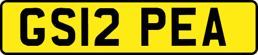 GS12PEA
