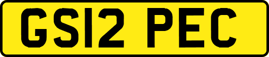 GS12PEC