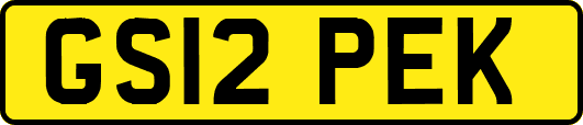 GS12PEK