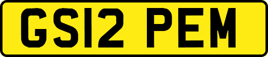 GS12PEM