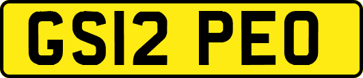 GS12PEO