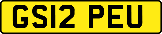 GS12PEU