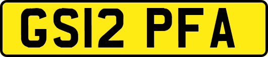 GS12PFA