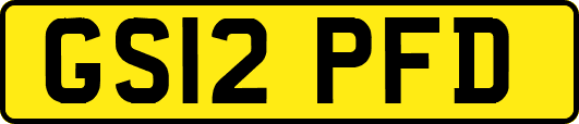 GS12PFD