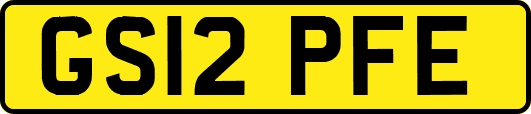 GS12PFE