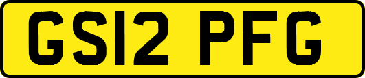 GS12PFG