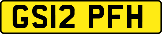 GS12PFH