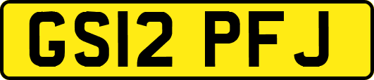 GS12PFJ