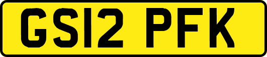 GS12PFK