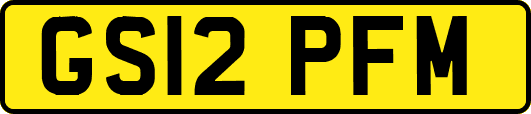 GS12PFM