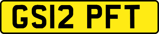 GS12PFT
