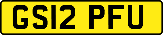 GS12PFU