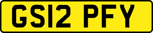 GS12PFY