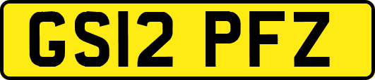 GS12PFZ
