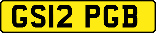 GS12PGB