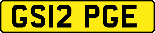 GS12PGE