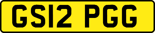 GS12PGG